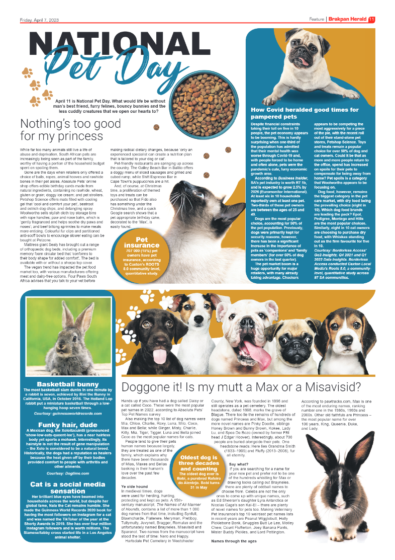 Brakpan Herald 7 April 2022 page 11